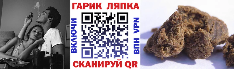 Гашиш гашик  Сясьстрой 