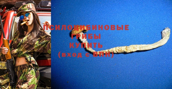 герыч Арсеньев